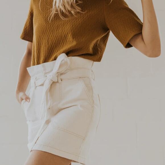 Free People Splendor In The Grass Skirt Paperbag Size 0 - Picture 3 of 9